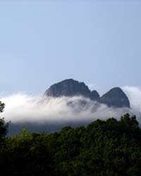 Wuzhishan Mountain